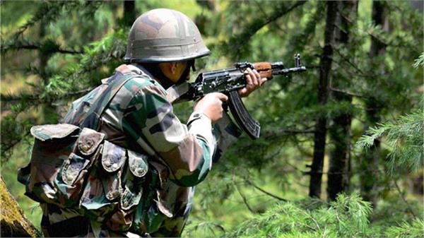 jammu kashmir more than 230 terrorists killed this year