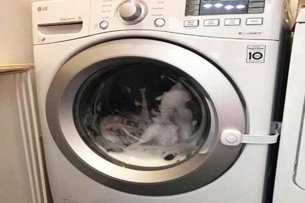 4 year old child dies in washing machine