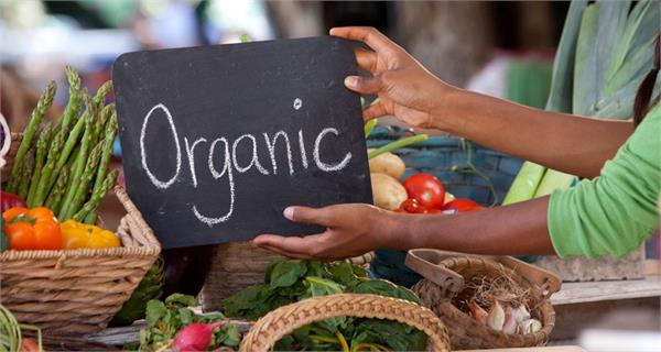 organic food harmful to the environment 