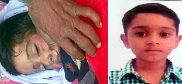 the kite has struck the house  the death of the innocent for the current