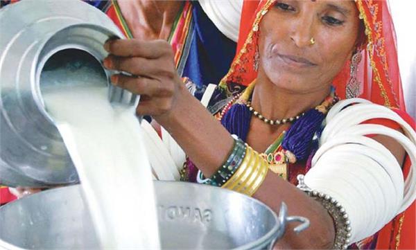 indian milk industry difficulty