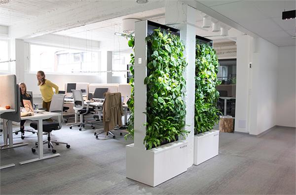 increasing the greenness in the office will make employees less ill