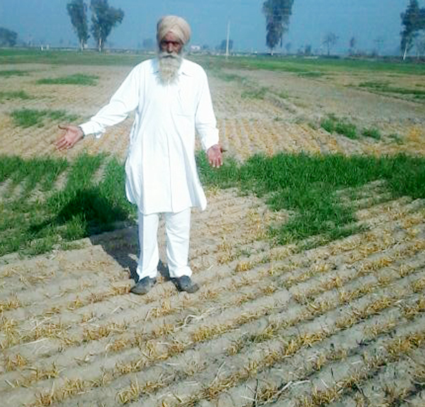 ਬਜ਼ੁਰਗ ਵੱਲੋਂ ਆਪਣੇ ਹੀ ਪੁੱਤਰ ''ਤੇ ਕਣਕ ਦੀ ਫਸਲ ਨਸ਼ਟ ਕਰਨ ਦਾ ਦੋਸ਼