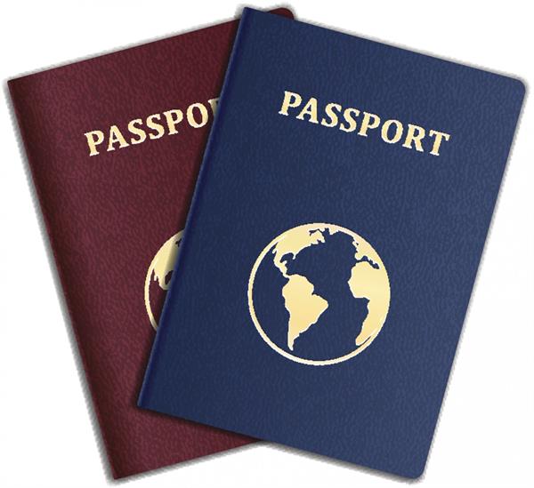 it will give the country a   10 year   visa  along with your family