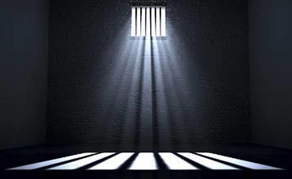 10 year imprisonment for fine grained smuggling case