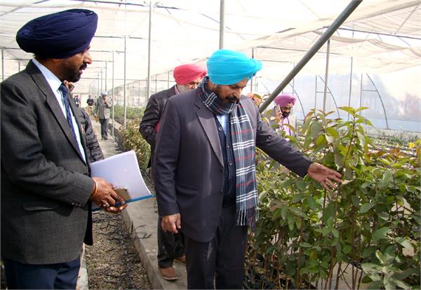 dedicated to the first hitech fruit nursery farmer of punjab