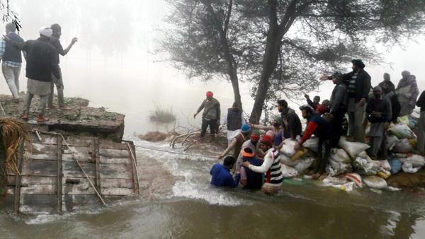 200 acres of crop sank after drowning in the canal