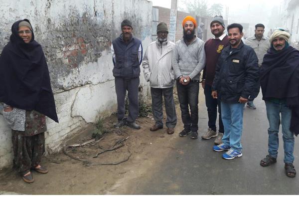 1 and 2 dozen snakes from govt primary school gutters