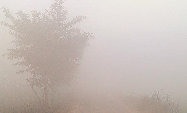 zero visibility  dense fog disrupted for second day