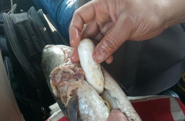 heroin in the case of fish