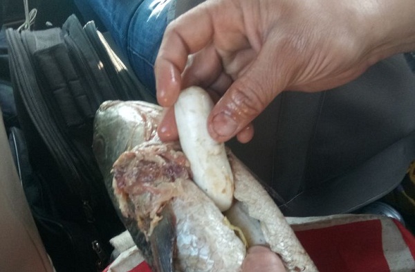 ਮੱਛੀ ''ਚ ਹੈਰੋਇਨ ਲਿਆਉਣ ਦੇ ਕੇਸ ''ਚ ਉਗਵੋਨਾ ਦਾ ਨਾਂ ਆਇਆ ਸਾਹਮਣੇ