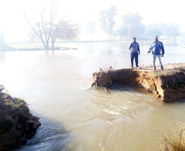 ਬਠਿੰਡਾ ਰਜਬਾਹੇ ''ਚ ਪਿਆ ਪਾੜ ਦੂਸਰੀ ਵਾਰ ਕਿਸਾਨਾਂ ਦੀ ਫਸਲ ਬਰਬਾਦ