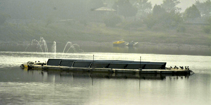 ਧੁੰਦ ਨੇ ਵਧਾਈ ਠੰਡ, ਧੁੰਦ ਦਾ ਕਹਿਰ ਜਾਰੀ, 6 ਫਲਾਈਟਾਂ ਰੱਦ