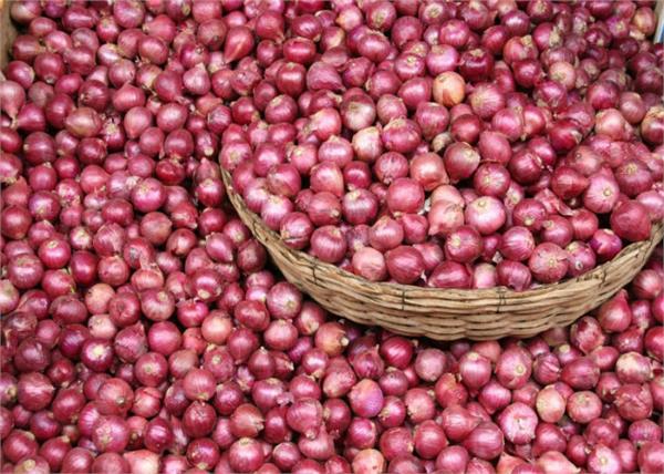 from kanpur to pakistan  onion