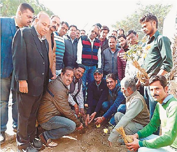 development work begins
