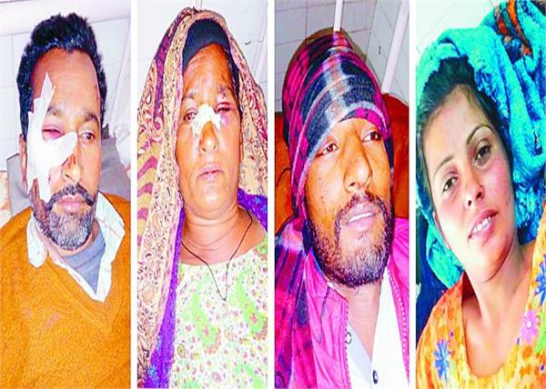 fazilka  small elephants  women