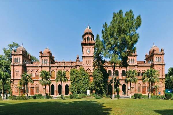 punjab university