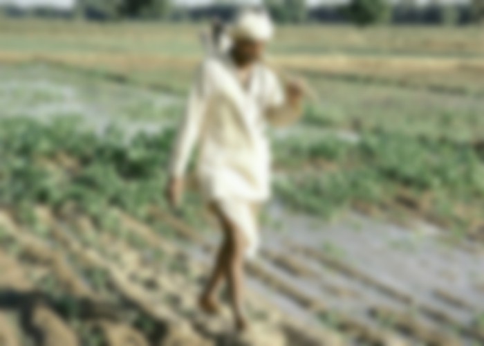 ਵੱਧ ਜ਼ਮੀਨਾਂ ਵਾਲਿਆਂ ਨੂੰ ਗਫੇ ਤੇ ਘੱਟ ਜ਼ਮੀਨਾਂ ਵਾਲਿਆਂ ਨੂੰ ਧੱਕੇ