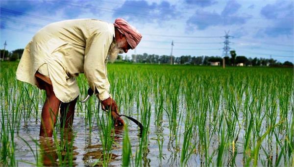 farmer debt waiver 