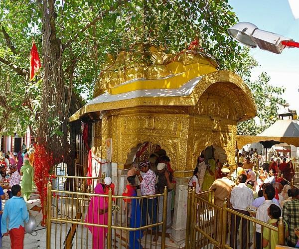 highest price in chintampurni
