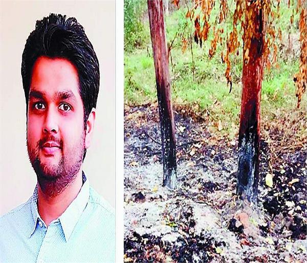 complaint of the maintenance of trees