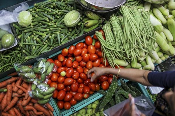 need to ensure access to nutritious nutrients from the people  assocham