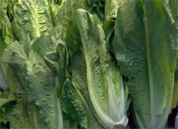 some restaurants stop serving romaine lettuce