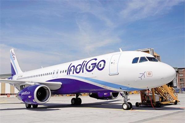 indigo  s profit 56  increased