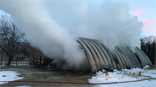 a fire in a fire in ottawa  several animals died