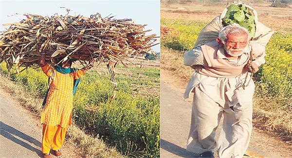 one such area of punjab where there is never a fog