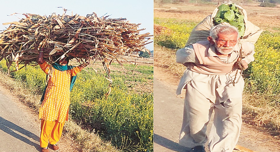 ਪੰਜਾਬ ਦਾ ਇਕ ਅਜਿਹਾ ਇਲਾਕਾ, ਜਿਥੇ ਕਦੇ ਨਹੀਂ ਪੈਂਦੀ ਧੁੰਦ