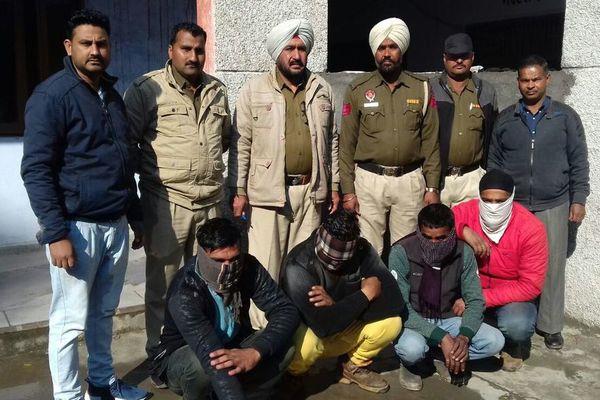 4 cows recovered