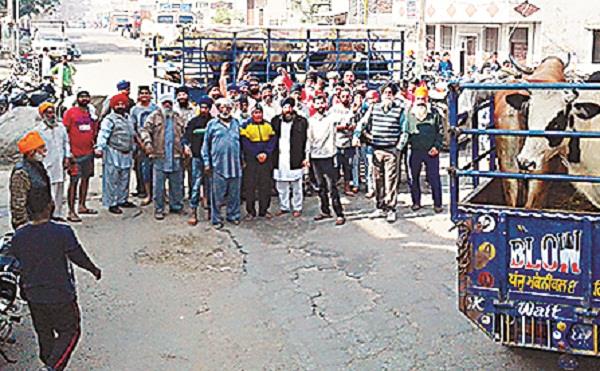 chakka jam filled the unsaved livestock in the trolleys