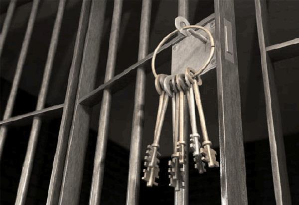fine imprisonment for son and mom