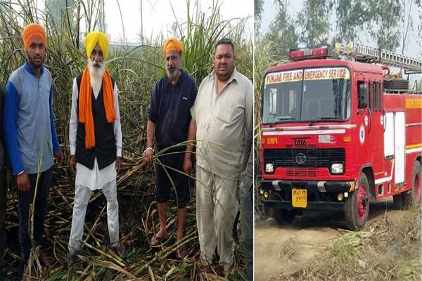 due to fire  six acres of sugarcane crops are harvested