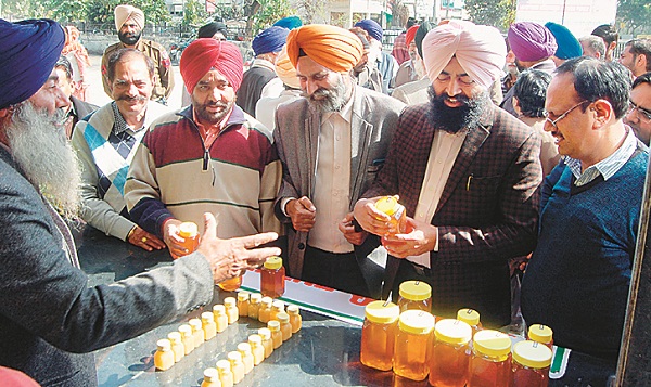 ਹਫਤੇ ''ਚ 2 ਦਿਨ ਲੱਗੇਗੀ ''ਆਪਣੀ ਮੰਡੀ'' : ਏ. ਡੀ. ਸੀ.