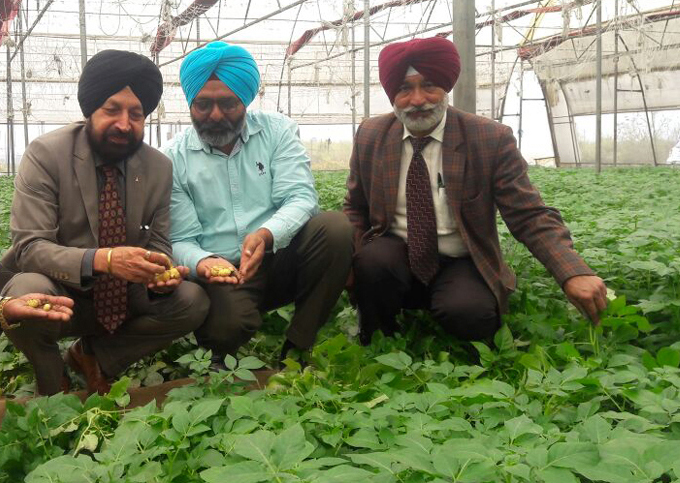ਖੇਤੀ ਨੂੰ ਲਾਹੇਵੰਦ ਧੰਦਾ ਬਣਾਉਣ ਲਈ ਤਕਨਾਲੋਜੀ ਦੀ ਵਰਤੋਂ ਜ਼ਰੂਰੀ : ਡਾਇਰੈਕਟਰ ਬੈਂਸ