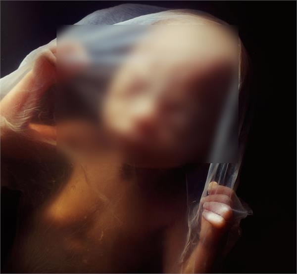 embryo found in vikas nagar