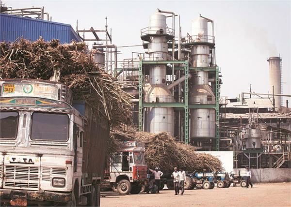 increasing import duty will be beneficial to sugar mills and farmers  chrysil