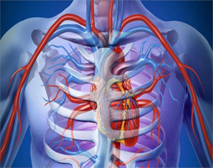 ਨਾੜੀ ਬਲਾਕੇਜ ਦੀ ਸਮੱਸਿਆ ਤੋਂ ਛੁਟਕਾਰਾ ਪਾਉਣ ਲਈ ਵਰਤੋਂ ਇਹ ਘਰੇਲੂ ਨੁਸਖੇ