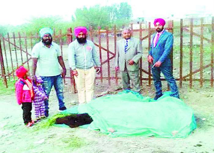 ਬੇਸਹਾਰਾ ਗਊਆਂ ਦੀ ਸਾਂਭ-ਸੰਭਾਲ ਲਈ ਵੈਟਰਨਰੀ ਮੋਬਾਇਲ ਵੈਨ ਚਲਾਈ ਜਾਵੇ