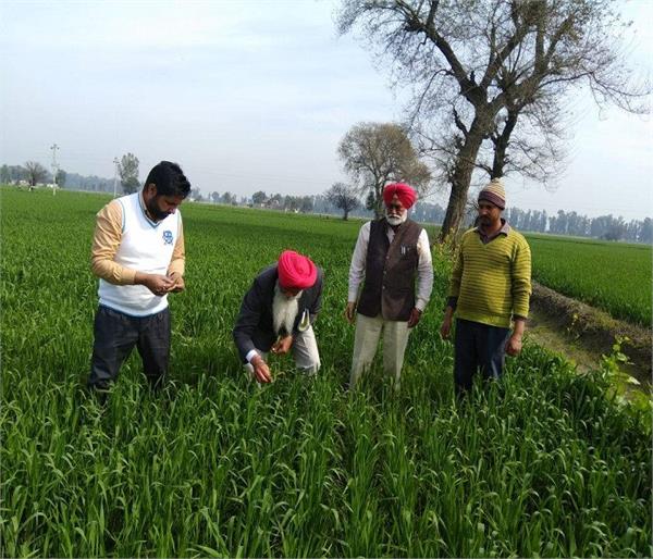 inspecting of farmer farms