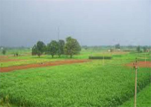 farmers farms half expenses