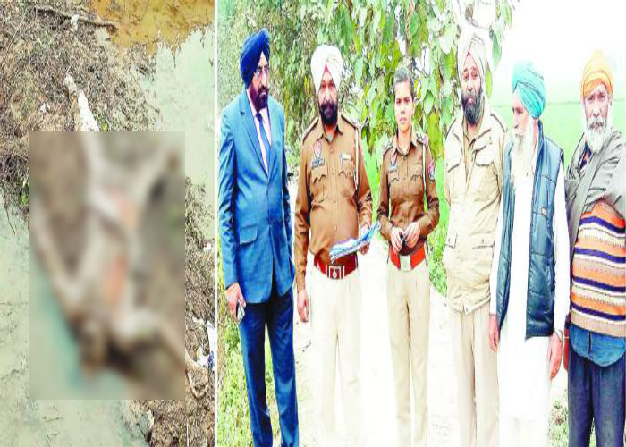 ਸੂਏ ''ਚੋਂ ਗਲੀ-ਸੜੀ ਲਾਸ਼ ਬਰਾਮਦ