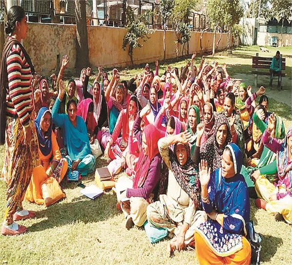 democratic mid day meal cook front punjab