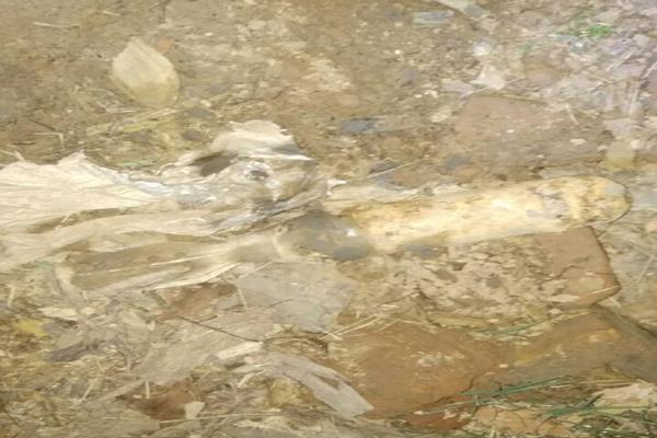 hand grenade found in panchkula