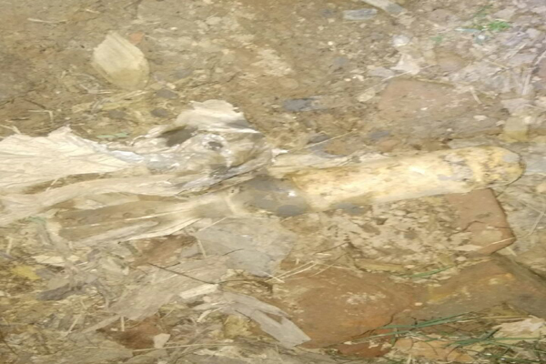 ਪੰਚਕੂਲਾ ਦੇ ਰਾਮਗੜ੍ਹ ਇਲਾਕੇ ''ਚੋਂ ਜ਼ਿੰਦਾ ਹੈਂਡ ਗ੍ਰੇਨੇਡ ਬਰਾਮਦ