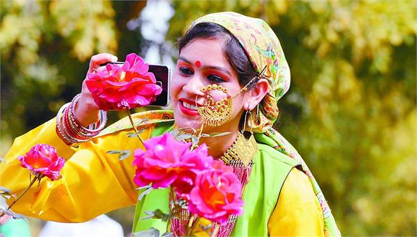 rose festival in chandigarh