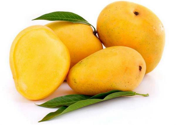 you will be surprised to know these qualities of mango
