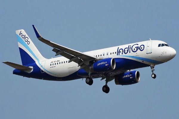 another case of indigo  s negligence prevented    
